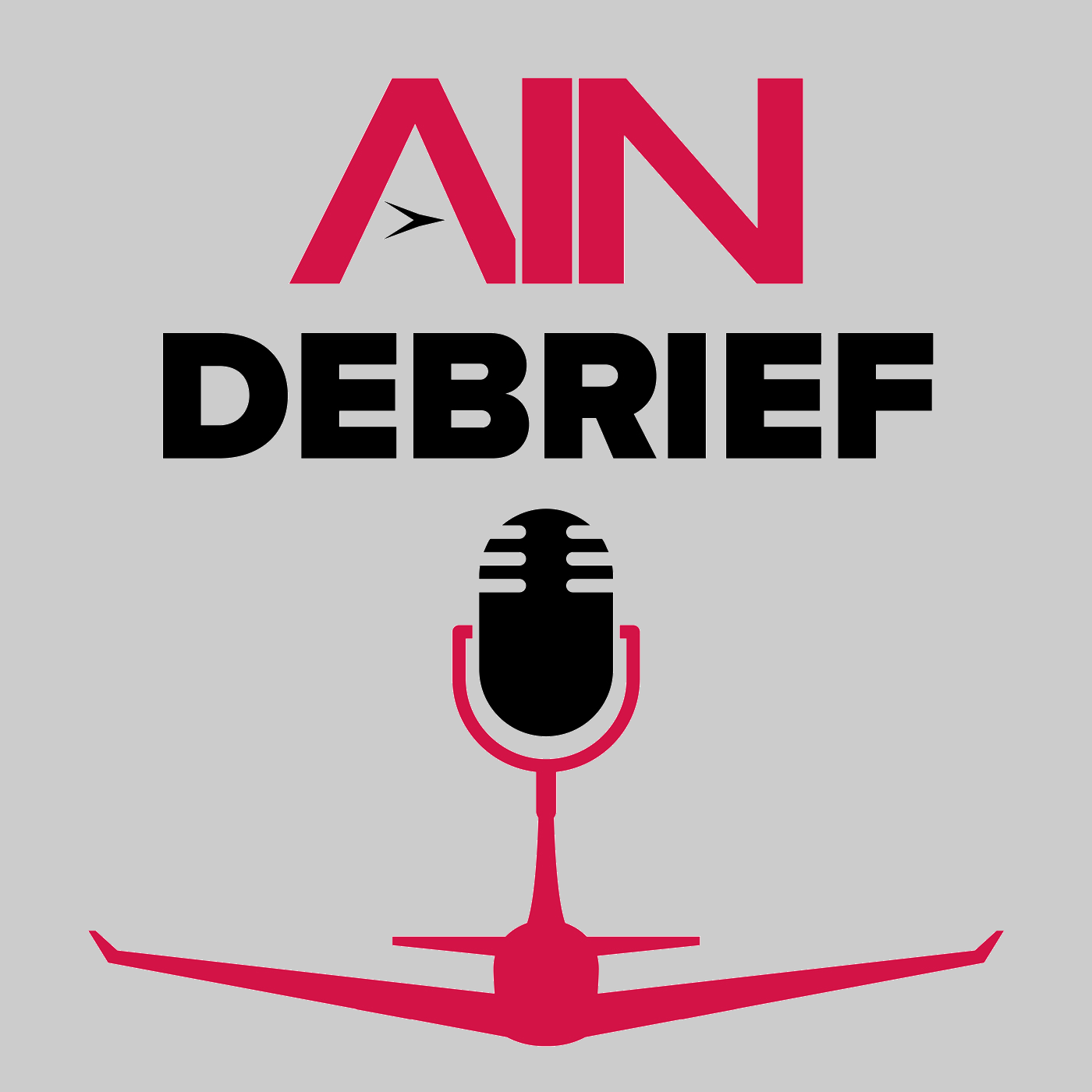 AINdebrief logo